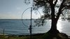 W2DEN Image
